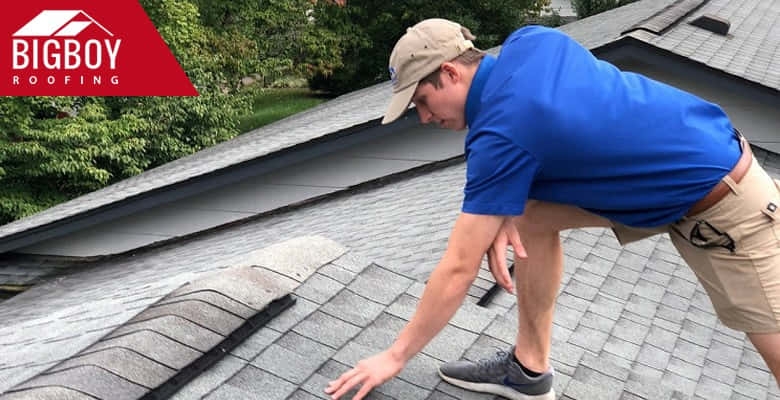 Contractor inspecting roof structure for signs of dry rot